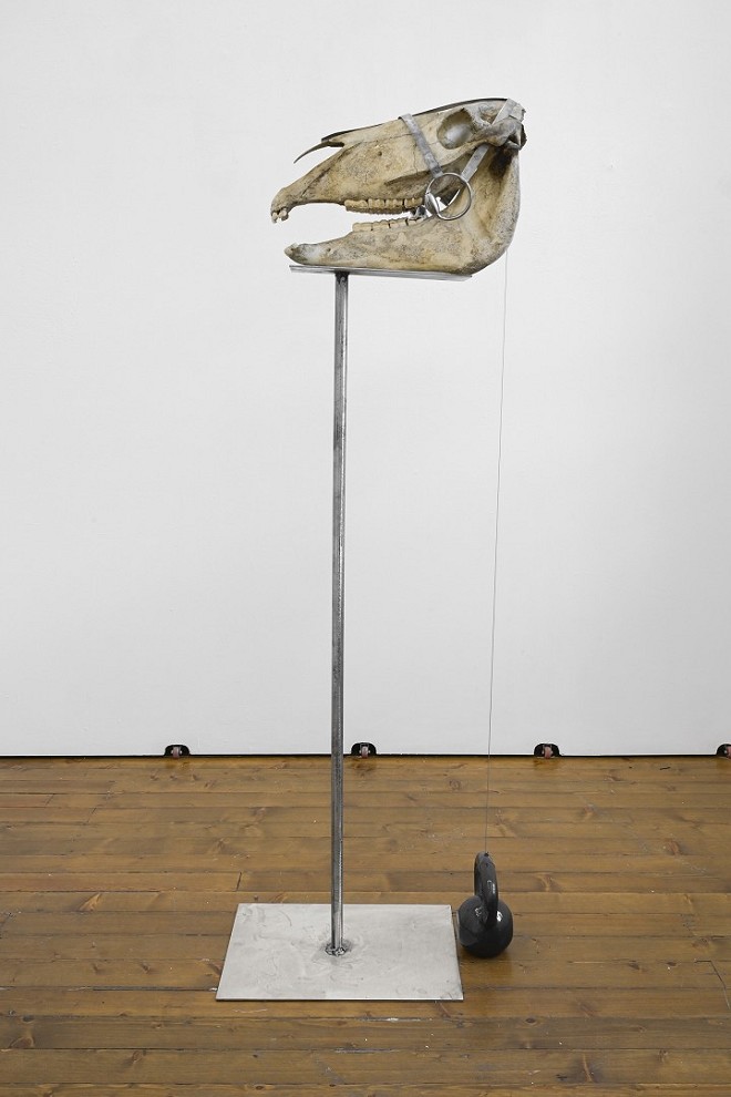 “Memento Mori”, 2026