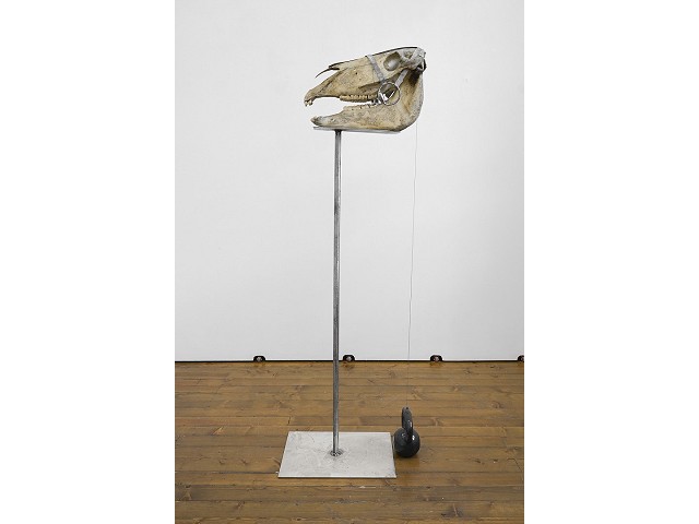 “Memento Mori”, 2026