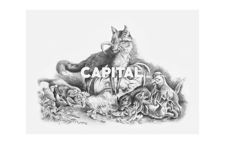 Capital Fox, 2015